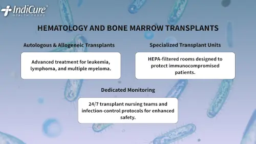 Infographic about medical oncology services, including immunotherapy, precision medicine through genome profiling, and hormone therapy.